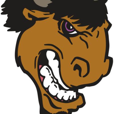 AR BUFFALO 13 RC Thumbnail