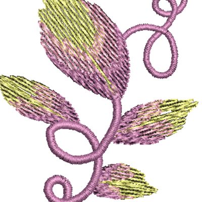 FP234 Thumbnail